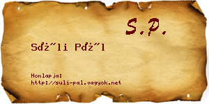 Süli Pál névjegykártya